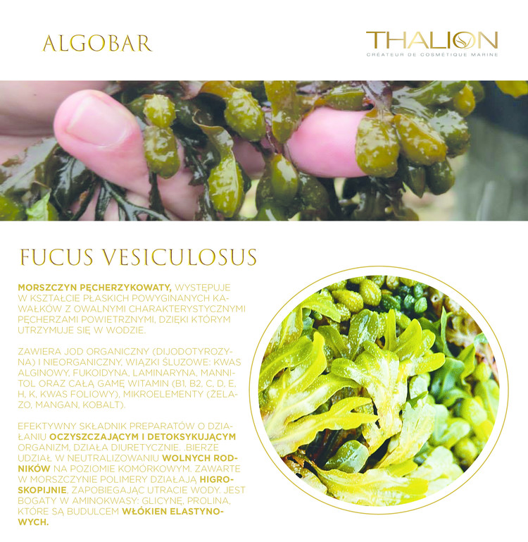 Artykuł: FUCUS VESICULOSUS 